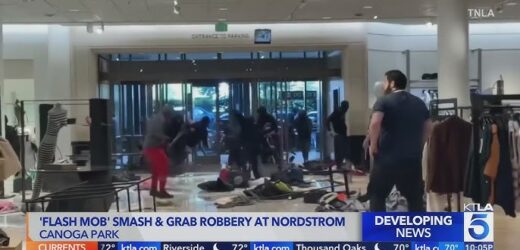 Flash Mob Task Force Arrests 11 More Suspects In Southern California Retail Robberies