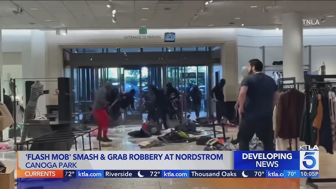 Flash Mob Task Force Arrests 11 More Suspects In Southern California Retail Robberies