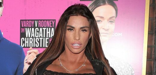 Outrage as Katie Price 'hits' new puppy Tank live on TikTok