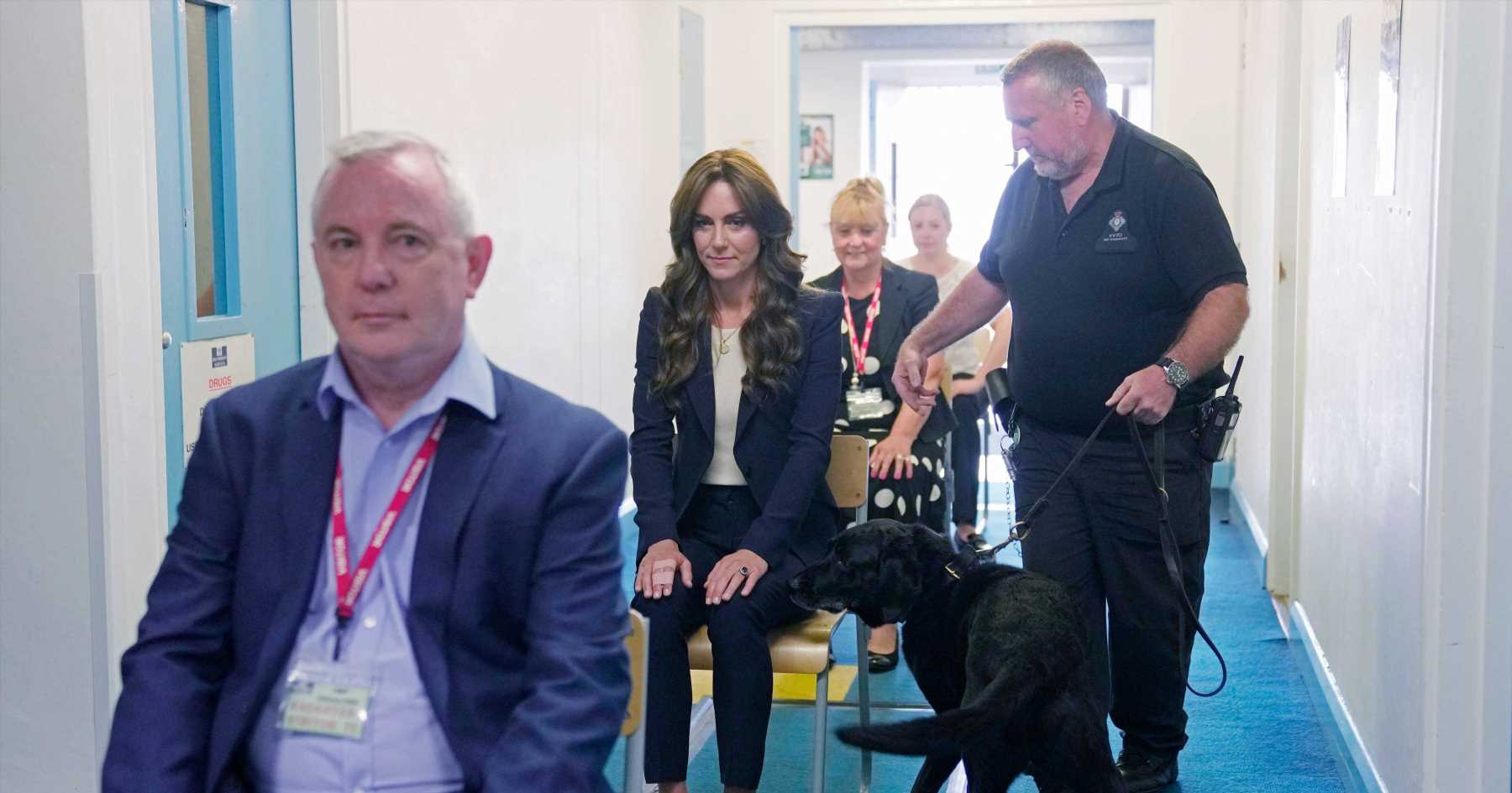 The Princess of Wales gets sniffed by a drug detection dog: The best photos of royals with animals