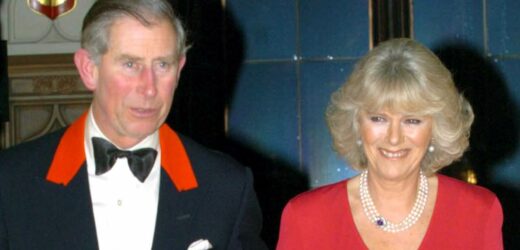 What pushed Prince Charles into proposing marriage to Camilla?