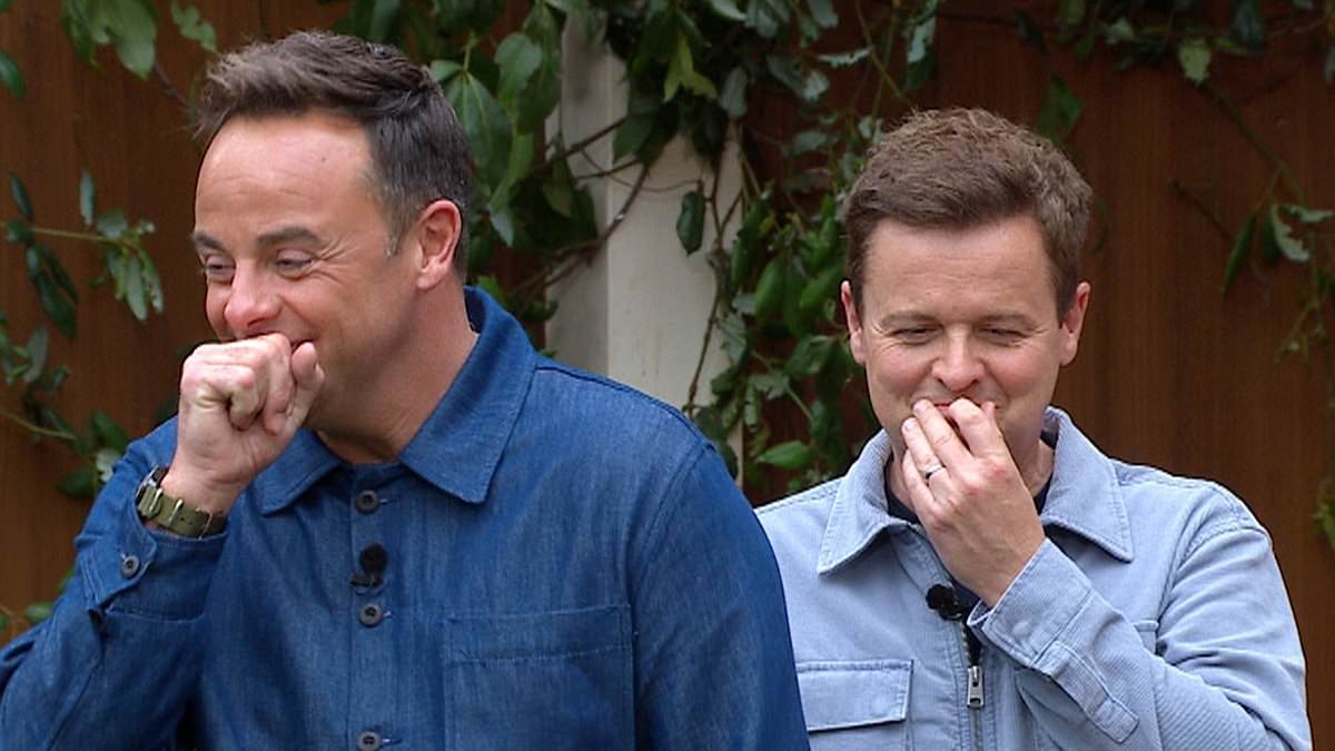 Ant and Dec reveal it took two HOURS to film hilarious drinking trial