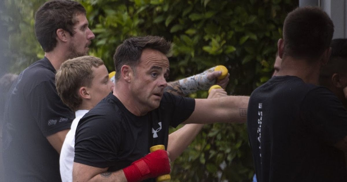 Im A Celebs Ant joins boxing gym with tattooed security guard near ITV camp