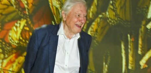 Sir David Attenborough hints at retirement as he aims to live past 100