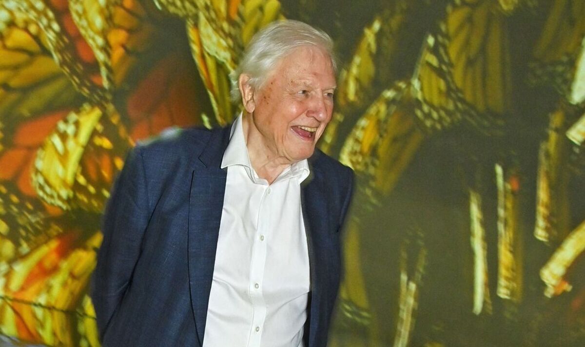 Sir David Attenborough hints at retirement as he aims to live past 100