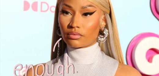 The Stan Wars Are OVER?! Nicki Minaj Tells Fans To Stop Spreading Hate 'On My Behalf'!