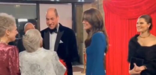 Awkward moment William and Kate accidentally ignore Swedish royals