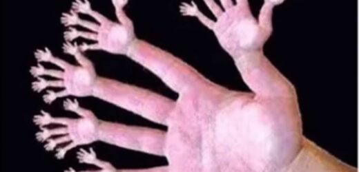 How many fingers can YOU see? Illusion stumps the internet