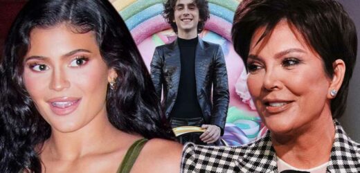 Kylie Jenner Supports BF Timothée Chalamet at 'Wonka' L.A. Premiere, Sneaks In